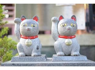 今戸神社のまねき猫！この画像を待ち受けにすると願い事が叶うかも･･･♪